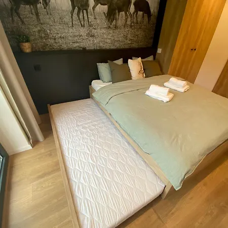 Apartment Bory Terchova